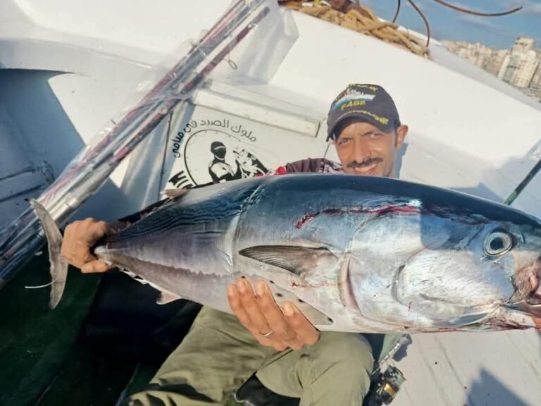 فهد البحار.. رائد ثورة الطعوم في مصر وصاحب لقب “ترند الطعوم” بجدارة